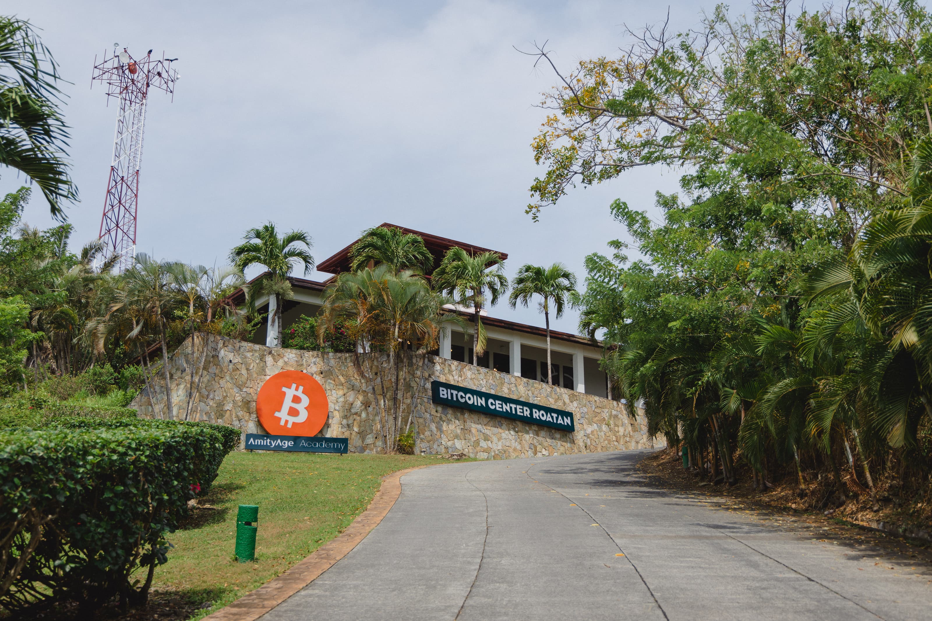 Driveway leading to a building with a stone facade, labeled Bitcoin Center Roatán and featuring a large Bitcoin logo. The building is surrounded by tropical plants and palm trees, giving it a lush and inviting appearance.